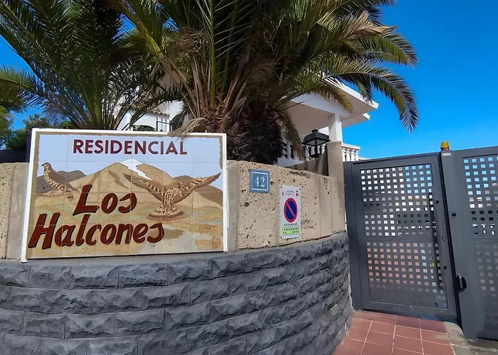 Halcones Bravo's House Chayofa